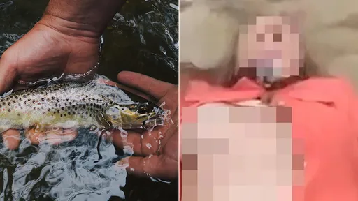 离谱夫妻「兽交活鳟鱼」拍性爱片 还闯画家墓地打野砲