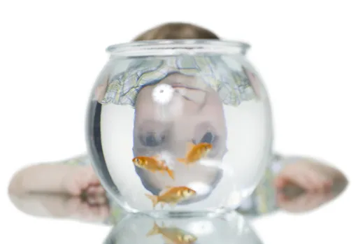 壹苹派生活美语　橡皮擦男孩（二）