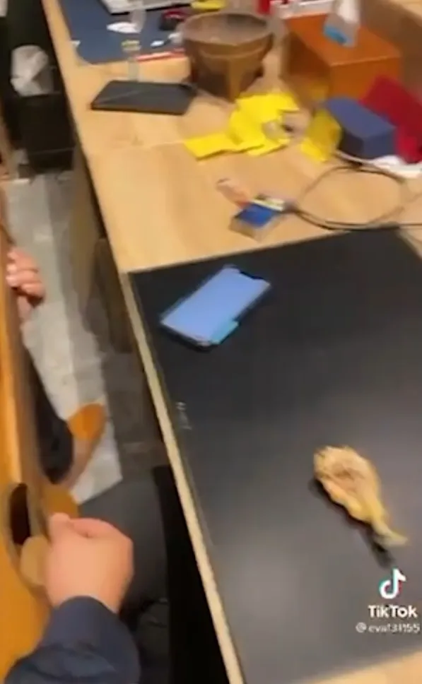 沉靜在自己的吉他和歌聲中，這一亂是要怎麼唱下去。TikTok :eva131155 提供