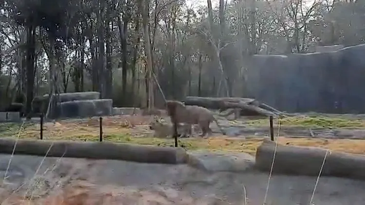 翻攝自「KORAT Times」臉書