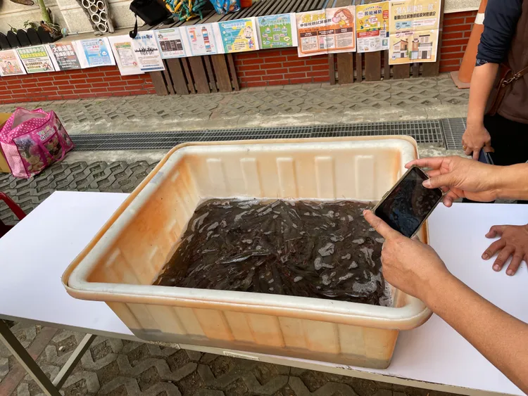 有義務人來擺攤賣活蝦。臺南分署提供