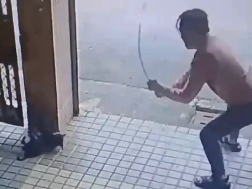 不爽浪浪吠叫還拖來垃圾　無良影片曝光！狠男竟持棍活活打死