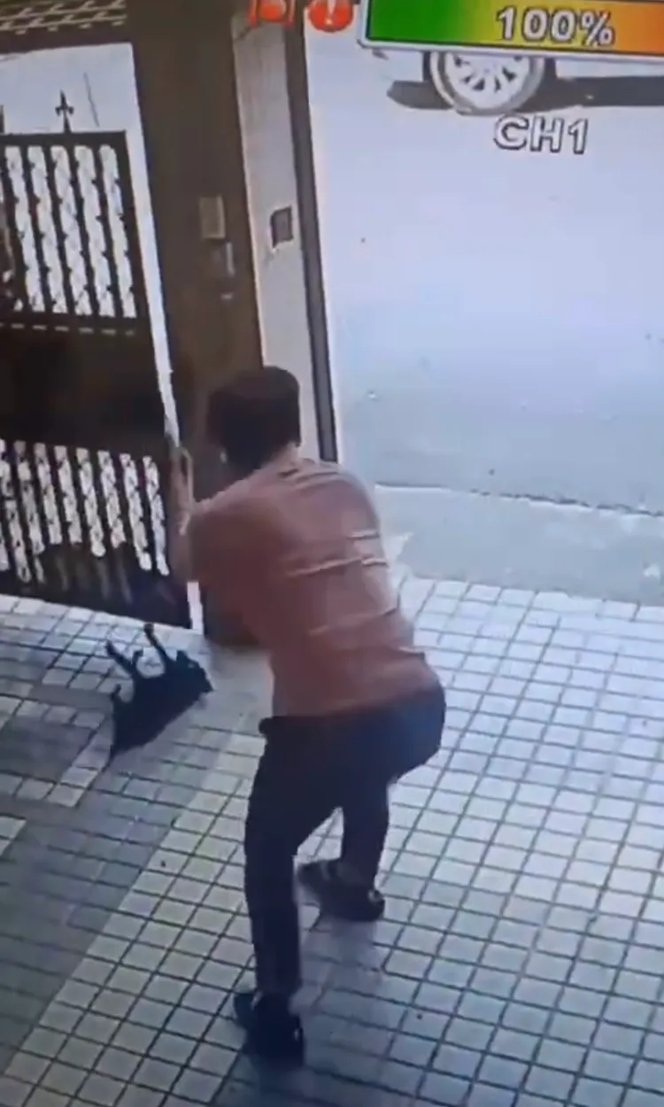 男子侵門踏戶持長棍虐狗。取自臉書《台南大小事》