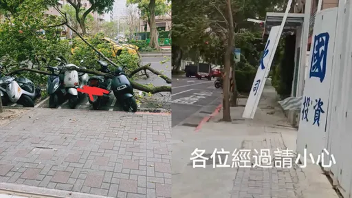 北市颳怪風!樹倒、鐵片吹飛、機車族全停下 目擊者:比颱風還誇張