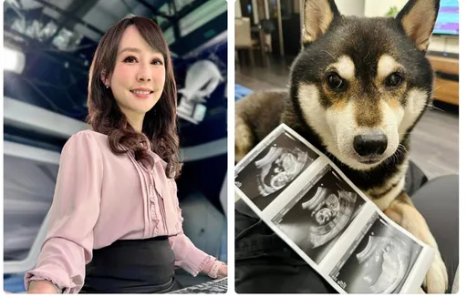 41歲主播吳宇舒秀小腹微凸照報喜 宣布懷孕5個月