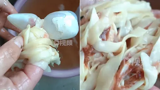 自宰活魚驚訝「體內附贈麵條」 她把魚吃光才知道竟然是這東西