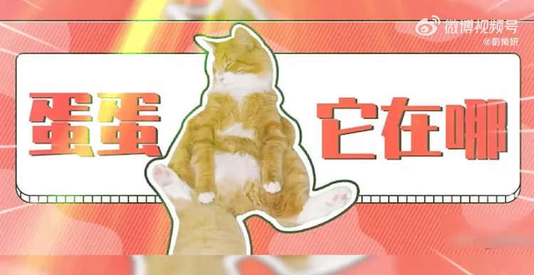 也嘲諷台灣沒有蛋。引自劉樂妍歌曲《我沒有肉肉，你沒有蛋蛋》