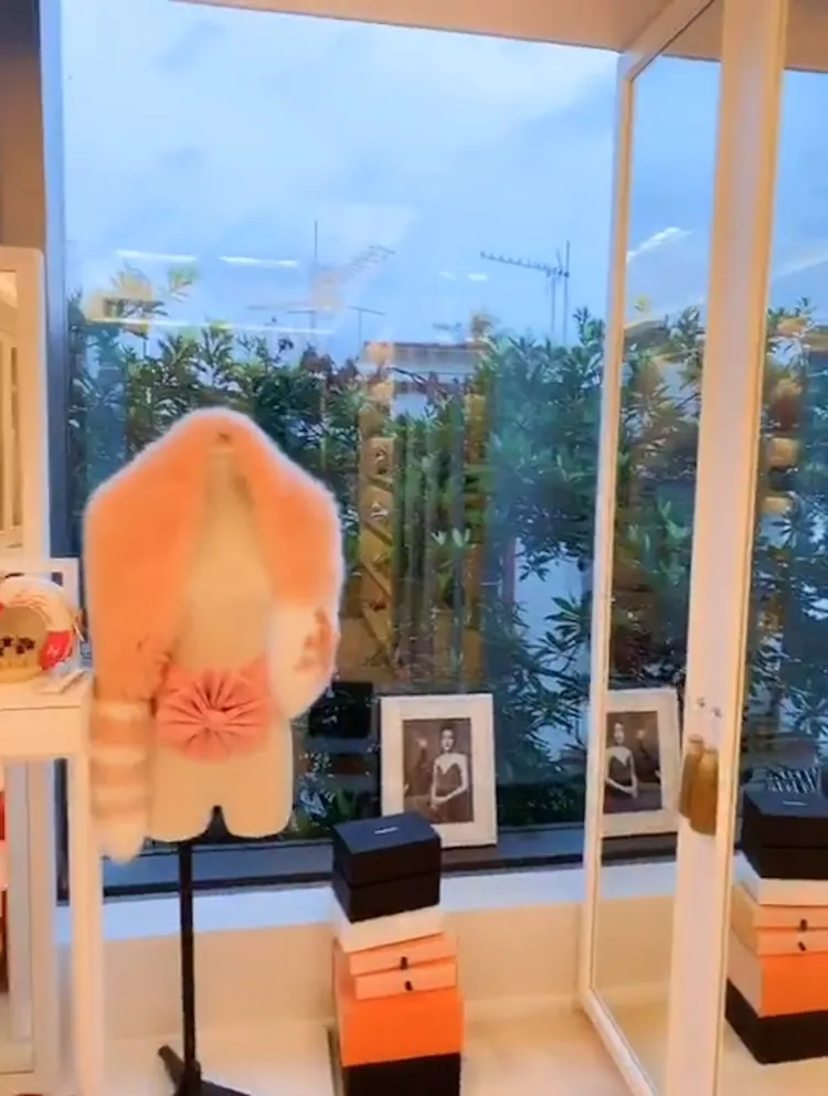 窗外還有植栽確保隱私。引自五姐抖音