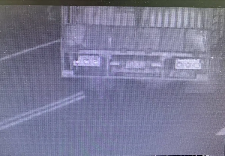 警方以車追豬，查到載運豬隻的大貨車。民眾提供
