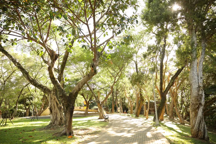 文山萃位於文山區光輝路134巷，鄰近木柵公園。京旺開發建設提供