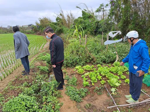 東非狒狒肚子餓了！今早最新蹤跡曝光　跑進一處菜園吃菜菜