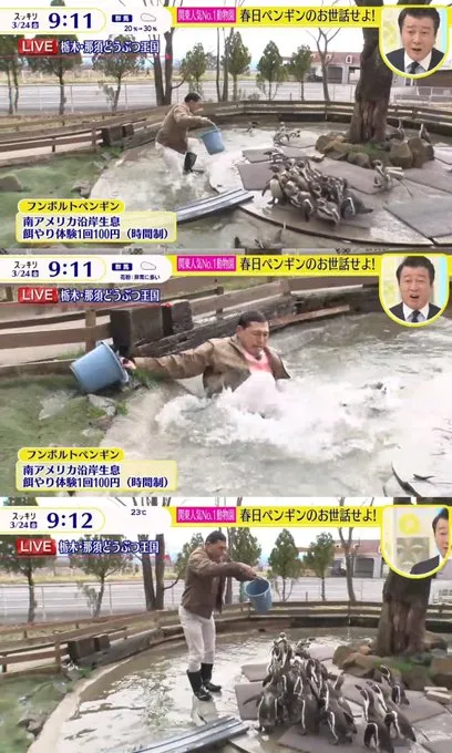 春日俊彰數次跌入池中。翻攝日本電視台畫面