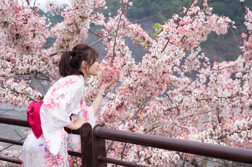 高雄六龟后花园深度旅游 赏花泡汤8条特色行程邀你来