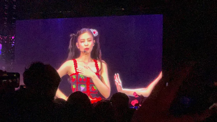 Jennie身穿可愛水果裝。讀者提供