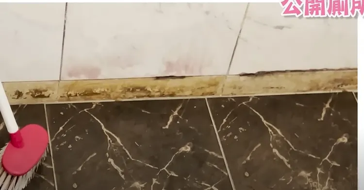 網友直呼不太能接受，但美麗妄娜說她可以接受房子有「歲月的痕跡」。引自 YT頻道：美麗妄娜 