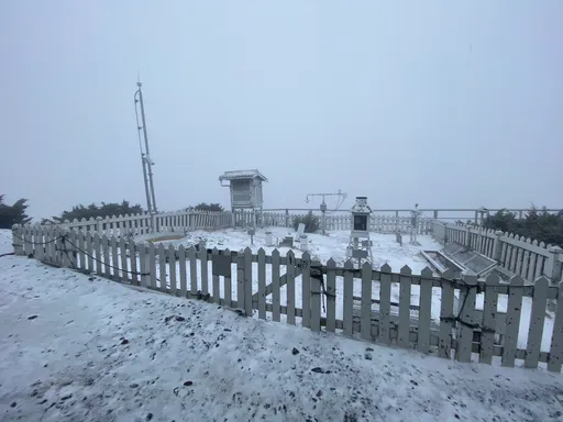 玉山清晨飘雪创80年最晚纪录 惊喜!排云山庄中午先下冰霰再降雪