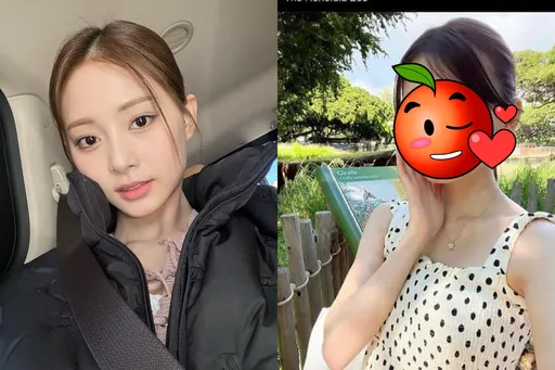 圖多！日本網紅激似周子瑜　網友炸裂：長這麼像很驚人