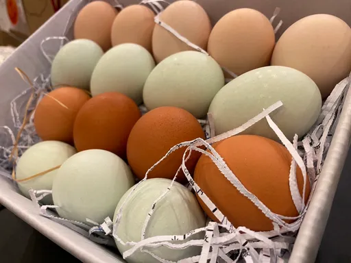 超市量販今起有蛋了 農委會出手!1000萬顆保證平價低於8元