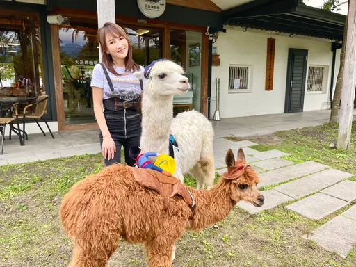 狒狒逃脫枉死　王宥忻擁萌獸沉痛發聲