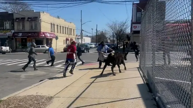 翻攝自Mary-Lyn Buckley推特