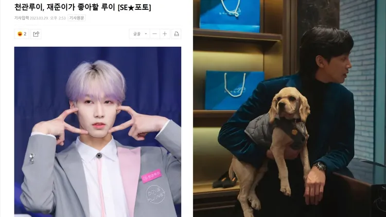 陳冠叡（左圖）的韓文暱稱루이撞名《黑暗榮耀》全宰寯的愛犬路易，韓媒在新聞標題玩雙關，「陳冠叡，宰寯會喜歡的루이」。翻攝首爾經濟、Netflix