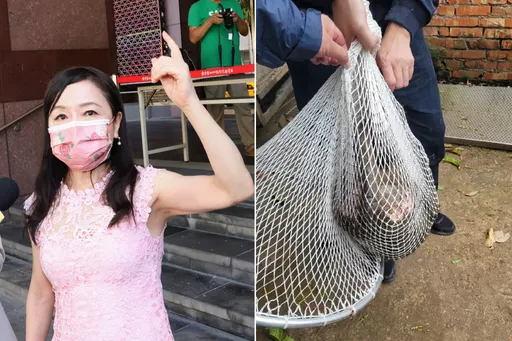 周玉蔻替狒狒之死抱屈　連6問為什麼！怒嗆張善政踹共