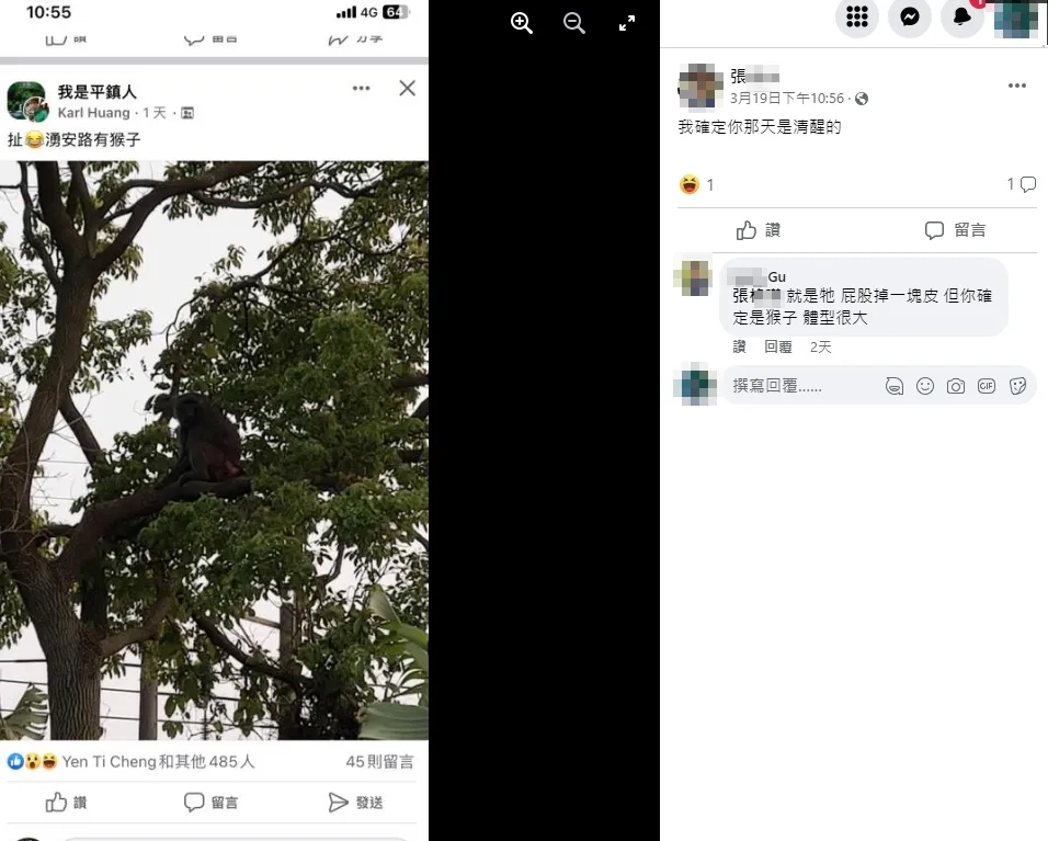 有網友分享也有人看到這個狒狒的身影,這讓男子一眼就認出,就是自己兩星期前看到的那隻。引自臉書