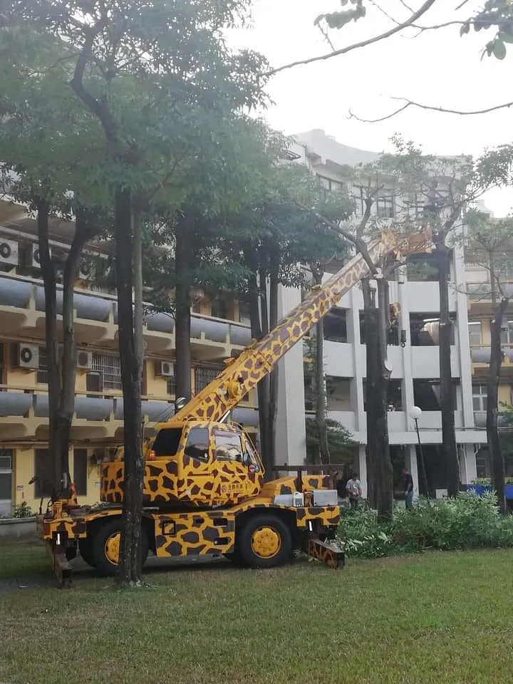 翻攝《路上觀察學院》社團