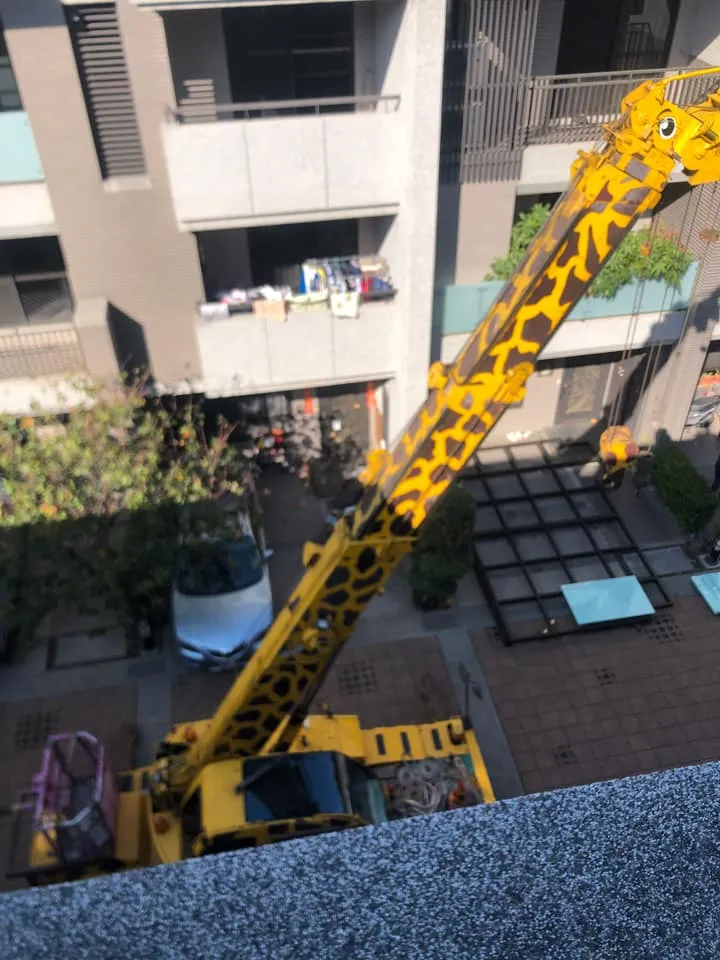 網友不同視角，發現它還有眼睛。翻攝《路上觀察學院》社團