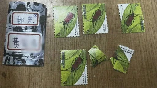 高雄女貪方便竟這樣停車 警盤查有貓膩!車通報失竊還搜出罕見「毒郵票」