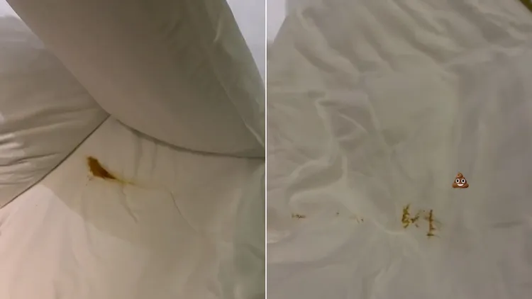 翻攝自莉婷TikTok