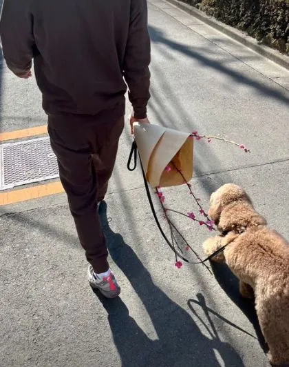 木村拓哉買了一束桃花，帶狗狗踏上歸途。翻攝木村拓哉IG