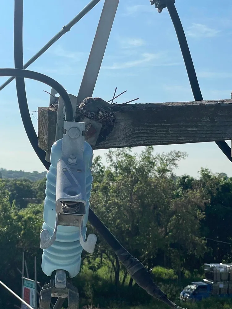 台電將針對有鳥類築巢的足跡建檔。台電台南區處提供