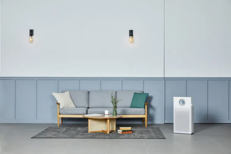 Coway雙向循環雙重防禦空氣清淨機AP-1220B。業者提供