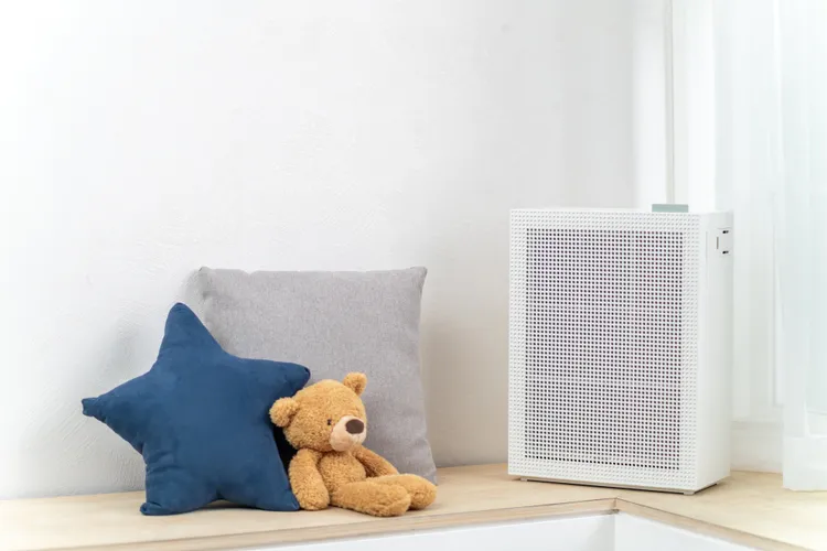 Coway綠淨力玩美雙禦空氣清淨機AP-1019C。業者提供