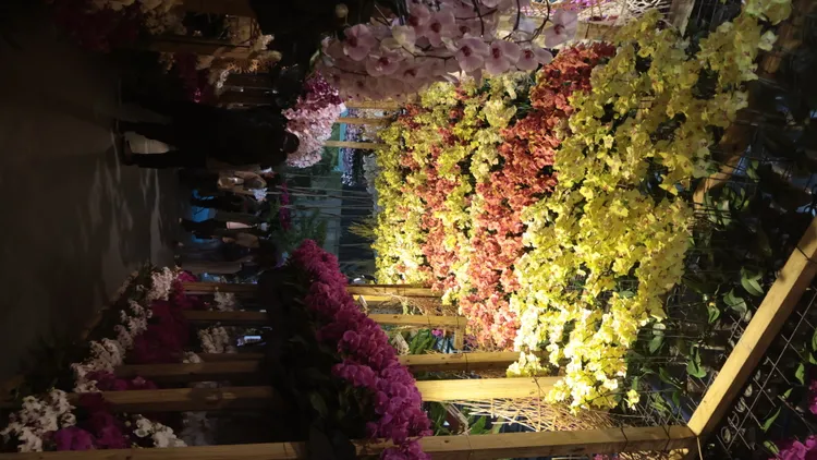 通過花廊宛如穿越時空。王志弘攝