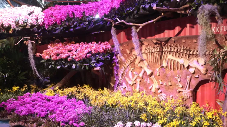 今年蘭展以蘭花魔鏡為主題，加入不少侏儸紀元素。王志弘攝