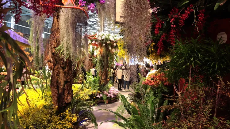 主題館設計有5萬株蘭花。王志弘攝