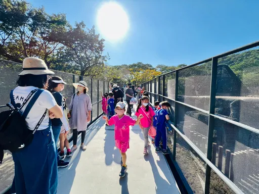全國小朋友看過來!兒童節5天連假 壽山動物園免費入園