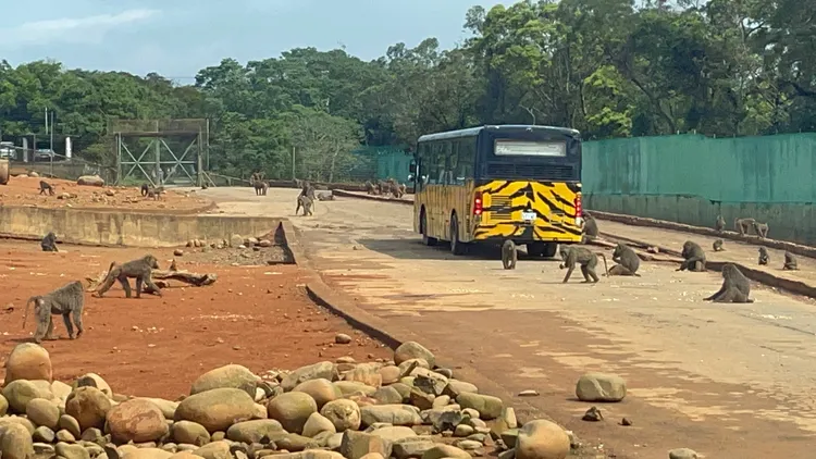 林務局今天到六福村場勘。張沛森攝