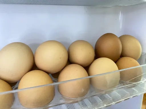 蛋價漲跌結果周日出爐！　最新蛋雞報告曝恐怖危機