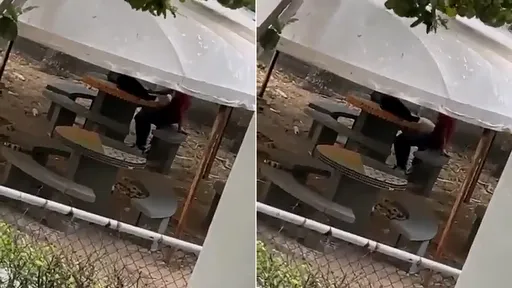 大學情侶校內公然「老漢推車打野砲」 她們目擊看得超開心