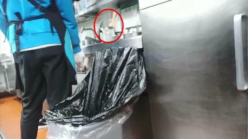 連鎖名店「垃圾桶撿食材再上桌」　員工竟稱：不乾不淨吃了沒病
