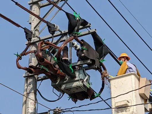 台電加強清除電桿上的「釘子戶」　嚴防跳電！籲民眾發現後踴躍通報