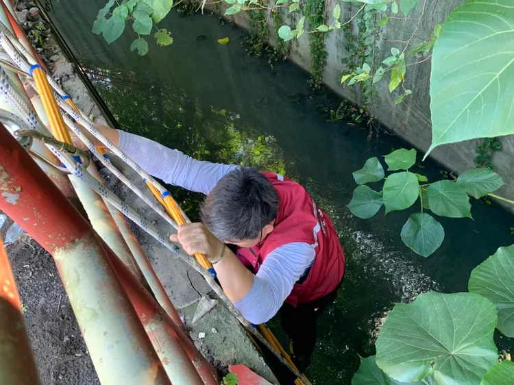 動保員判斷使用繩梯垂降至水圳內，並配合護具將受困犬隻救援上來。動保處提供