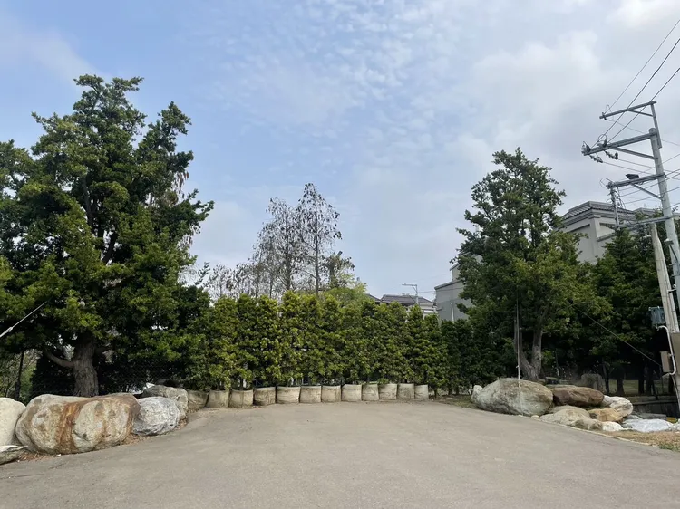 顏家位在沙鹿區豪宅，在去年爆出違建爭議，原本的大門，目前已變成綠色圍籬。讀者提供