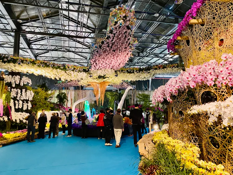 除了恐龍，還有超大蘭花海星。王志弘攝