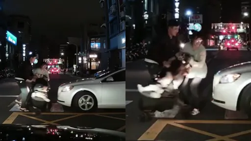 行人地獄全紀錄！汽車2度衝斑馬線娃娃車　家長驚險1動作肉身救娃