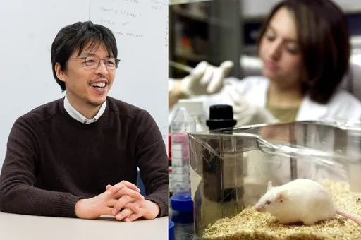 「雄性」細胞培育出「卵子」!日本以老鼠研究證實:同性生殖有可能