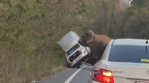 駕駛地獄！他在這開車不懂禮讓　直接被掀翻「滾出馬路」